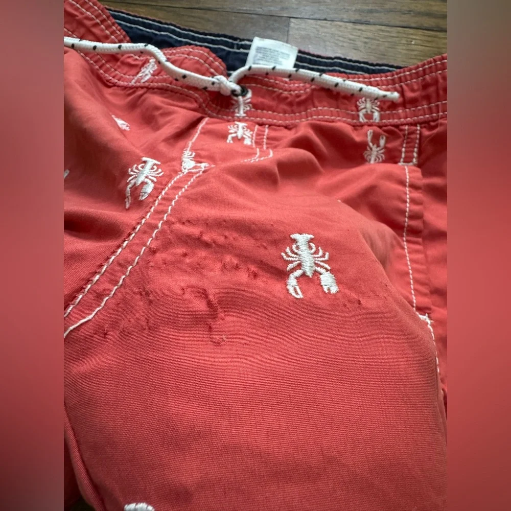 Carter’s Kids Dinosaur & Lobster Lined Swim Trunks Bundle Size 5 Beachwear